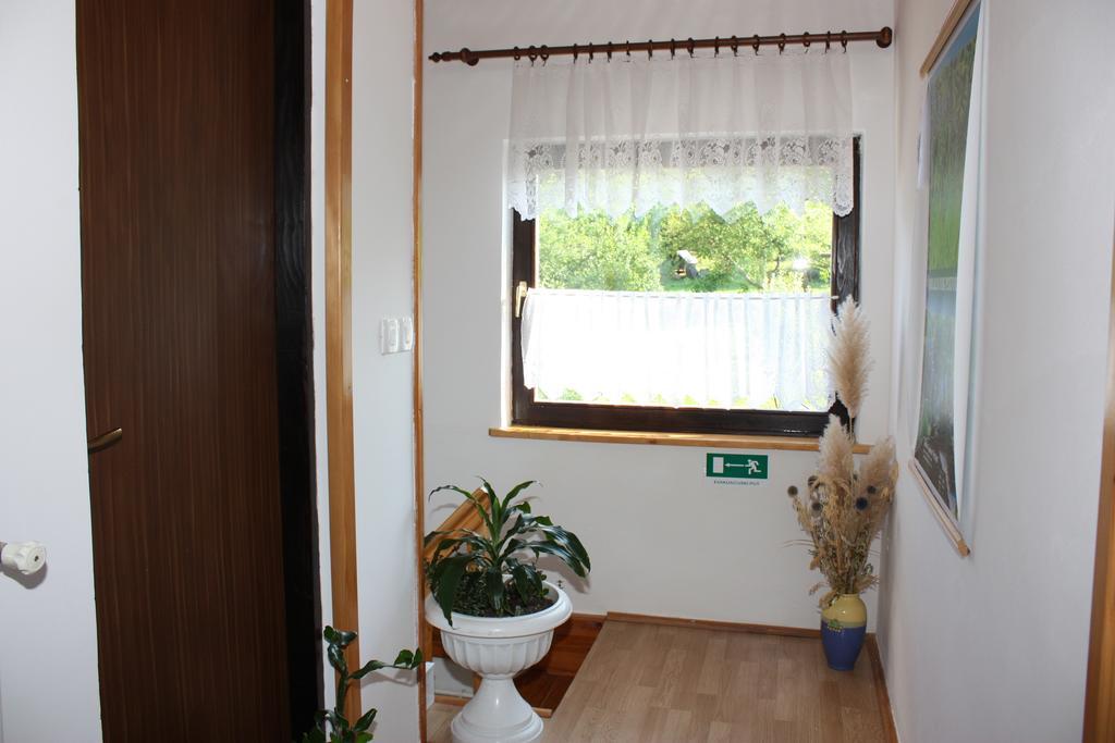 Apartment Jelena Selište Drežničko Zimmer foto
