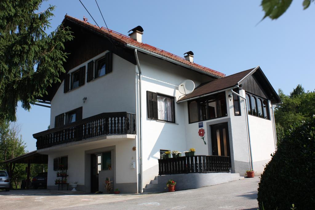 Apartment Jelena Selište Drežničko Zimmer foto