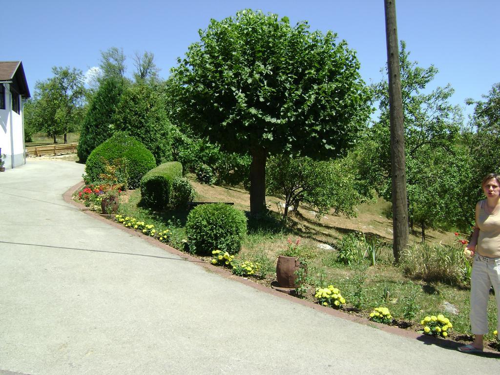 Apartment Jelena Selište Drežničko Zimmer foto