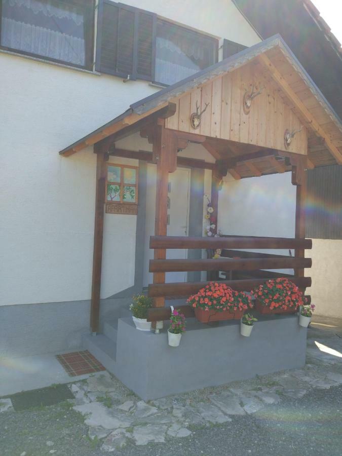 Apartment Jelena Selište Drežničko Exterior foto